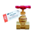 1/2" B&K Gate Valve
