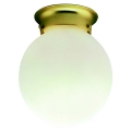 1-Bulb 8" Ceil Light Fixture