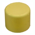 1" CPVC Cap